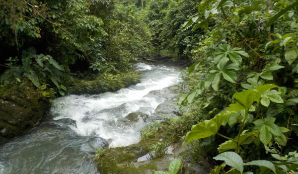 Llushian Fluss