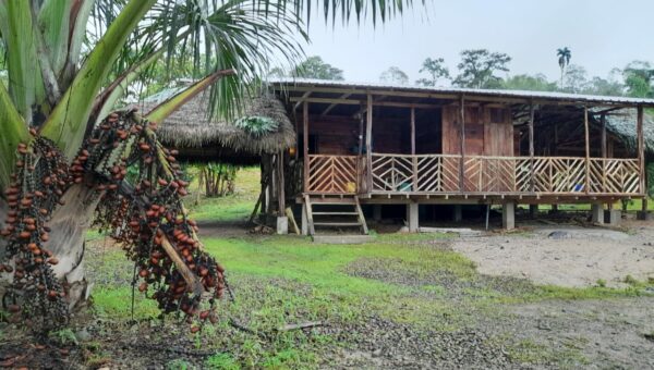Amazonasschutz Hütte